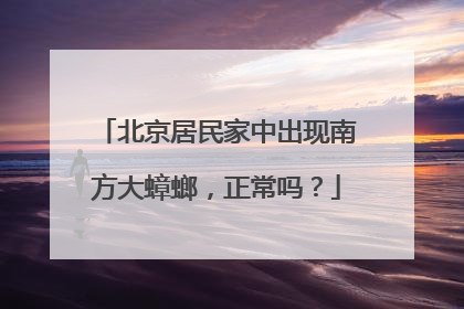 北京居民家中出现南方大蟑螂，正常吗？