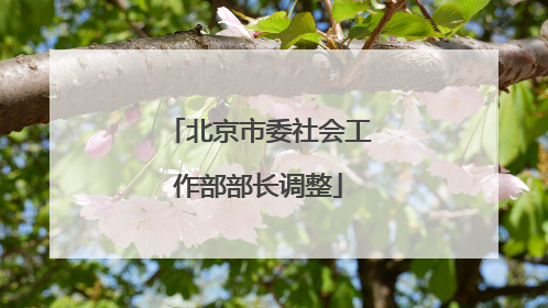 北京市委社会工作部部长调整