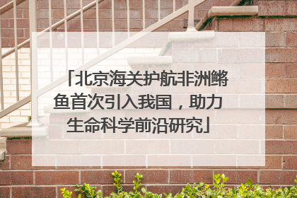 北京海关护航非洲鳉鱼首次引入我国，助力生命科学前沿研究