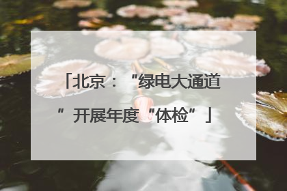 北京：“绿电大通道”开展年度“体检”