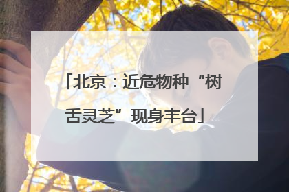 北京：近危物种“树舌灵芝”现身丰台