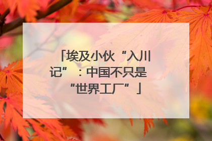 埃及小伙“入川记”：中国不只是“世界工厂”