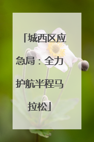 城西区应急局：全力护航半程马拉松
