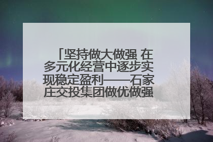 坚持做大做强 在多元化经营中逐步实现稳定盈利——石家庄交投集团做优做强典型报道之三