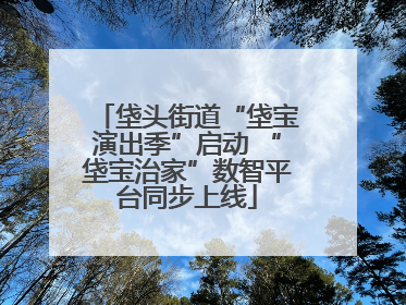 垡头街道“垡宝演出季”启动 “垡宝治家”数智平台同步上线