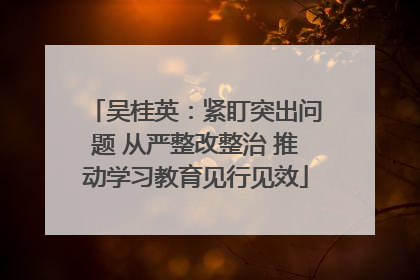 吴桂英：紧盯突出问题 从严整改整治 推动学习教育见行见效