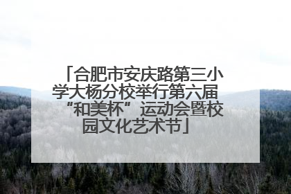 合肥市安庆路第三小学大杨分校举行第六届“和美杯”运动会暨校园文化艺术节
