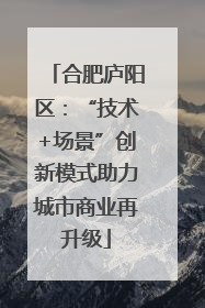 合肥庐阳区：“技术+场景”创新模式助力城市商业再升级