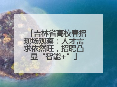 吉林省高校春招现场观察：人才需求依然旺，招聘凸显“智能+”