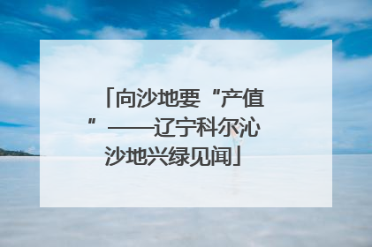 向沙地要“产值”——辽宁科尔沁沙地兴绿见闻