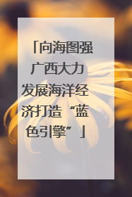 向海图强 广西大力发展海洋经济打造“蓝色引擎”