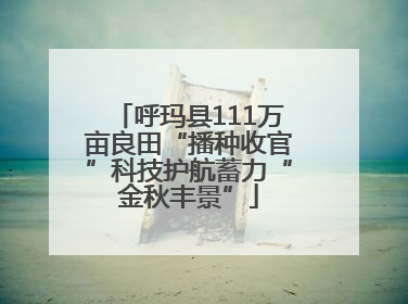 呼玛县111万亩良田“播种收官”科技护航蓄力“金秋丰景”