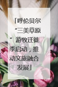 呼伦贝尔“三美草原”游牧迁徙季启动，推动文旅融合发展