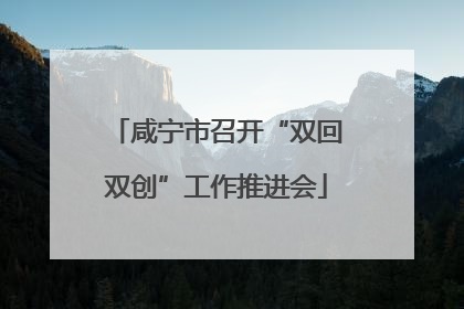 咸宁市召开“双回双创”工作推进会