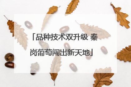 品种技术双升级 秦岗葡萄闯出新天地