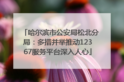 哈尔滨市公安局松北分局：多措并举推动12367服务平台深入人心
