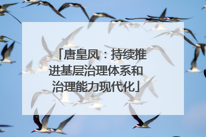 唐皇凤：持续推进基层治理体系和治理能力现代化