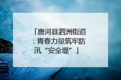 唐河县泗洲街道：青春力量筑牢防汛“安全堤”