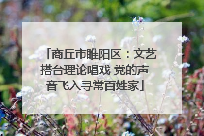 商丘市睢阳区：文艺搭台理论唱戏 党的声音飞入寻常百姓家
