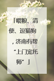 喂粮、清便、逗猫狗，济南有帮“上门宠托师”