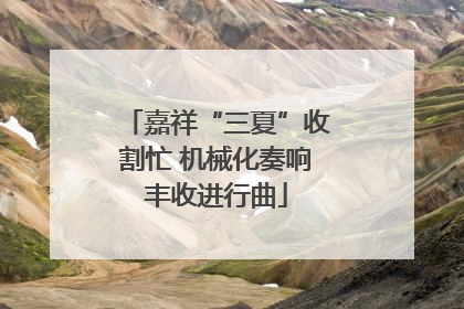 嘉祥“三夏”收割忙 机械化奏响丰收进行曲