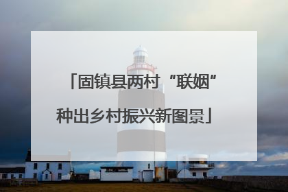固镇县两村“联姻”种出乡村振兴新图景