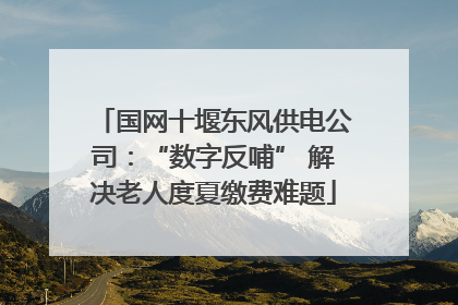 国网十堰东风供电公司：“数字反哺” 解决老人度夏缴费难题
