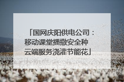 国网庆阳供电公司：移动课堂播撒安全种 云端服务浇灌节能花
