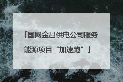 国网金昌供电公司服务能源项目“加速跑”
