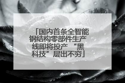 国内首条全智能钢结构零部件生产线即将投产 “黑科技”层出不穷