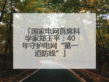 国家电网首席科学家郑玉平：40年守护电网“第一道防线”