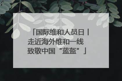 国际维和人员日丨走近海外维和一线 致敬中国“蓝盔”