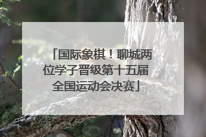 国际象棋！聊城两位学子晋级第十五届全国运动会决赛