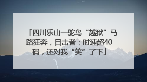 四川乐山一鸵鸟“越狱”马路狂奔，目击者：时速超40码，还对我“笑”了下
