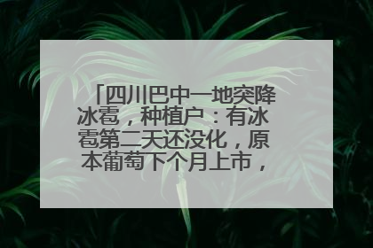 四川巴中一地突降冰雹，种植户：有冰雹第二天还没化，原本葡萄下个月上市，现在全被打落