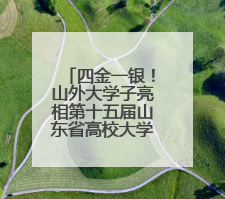 四金一银！山外大学子亮相第十五届山东省高校大学生跆拳道公开赛