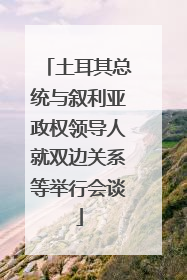 土耳其总统与叙利亚政权领导人就双边关系等举行会谈