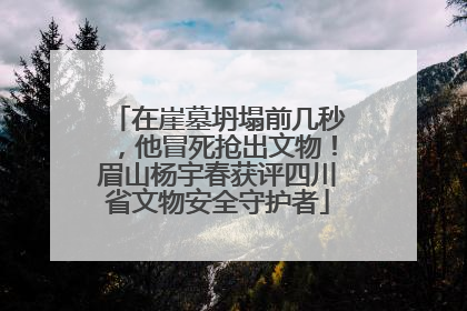 在崖墓坍塌前几秒，他冒死抢出文物！眉山杨宇春获评四川省文物安全守护者