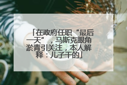 在政府任职“最后一天”，马斯克眼角淤青引关注，本人解释：儿子干的