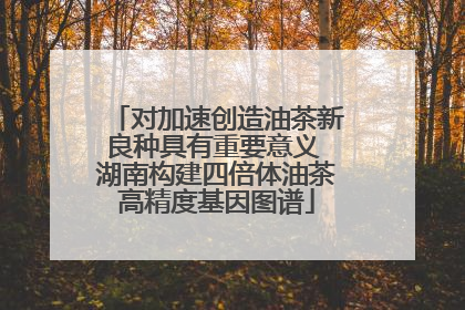 对加速创造油茶新良种具有重要意义 湖南构建四倍体油茶高精度基因图谱