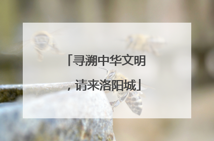 寻溯中华文明，请来洛阳城