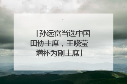 孙远富当选中国田协主席，王晓莹增补为副主席