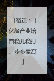 宿迁：千亿级产业培育稳扎稳打、步步攀高