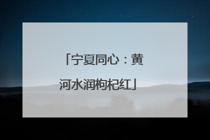 宁夏同心：黄河水润枸杞红
