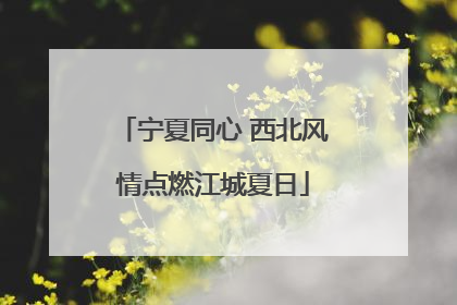 宁夏同心 西北风情点燃江城夏日