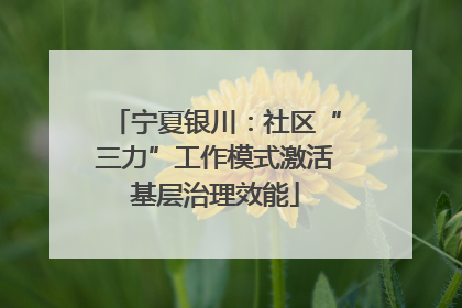宁夏银川：社区“三力”工作模式激活基层治理效能