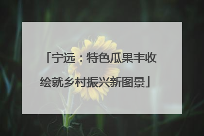 宁远：特色瓜果丰收绘就乡村振兴新图景