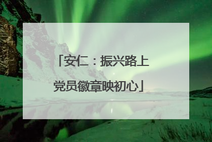 安仁：振兴路上 党员徽章映初心