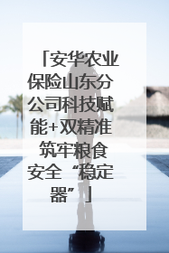 安华农业保险山东分公司科技赋能+双精准 筑牢粮食安全“稳定器”
