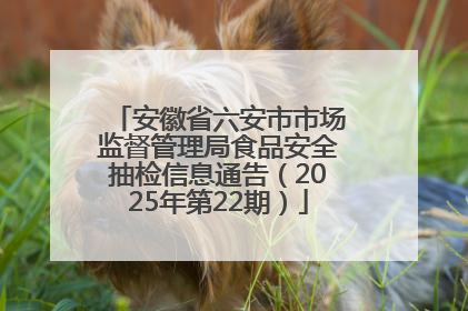 安徽省六安市市场监督管理局食品安全抽检信息通告（2025年第22期）